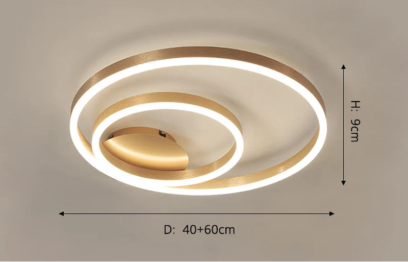 Ceiling Lights Modern Style