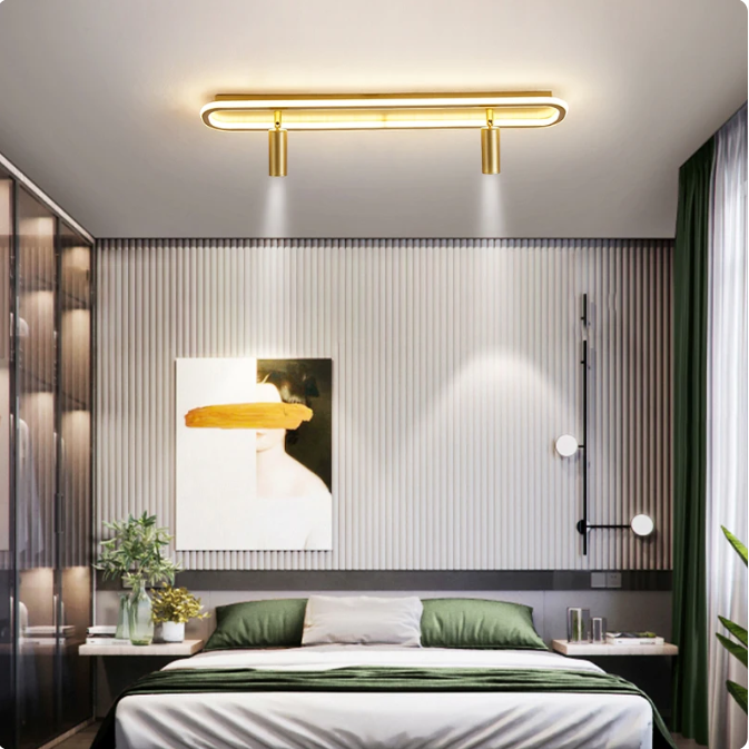 Modern Ceiling Lights With Built-In Spotlight gold color