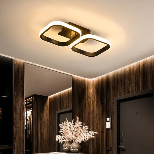 Modern LED Ceiling Light