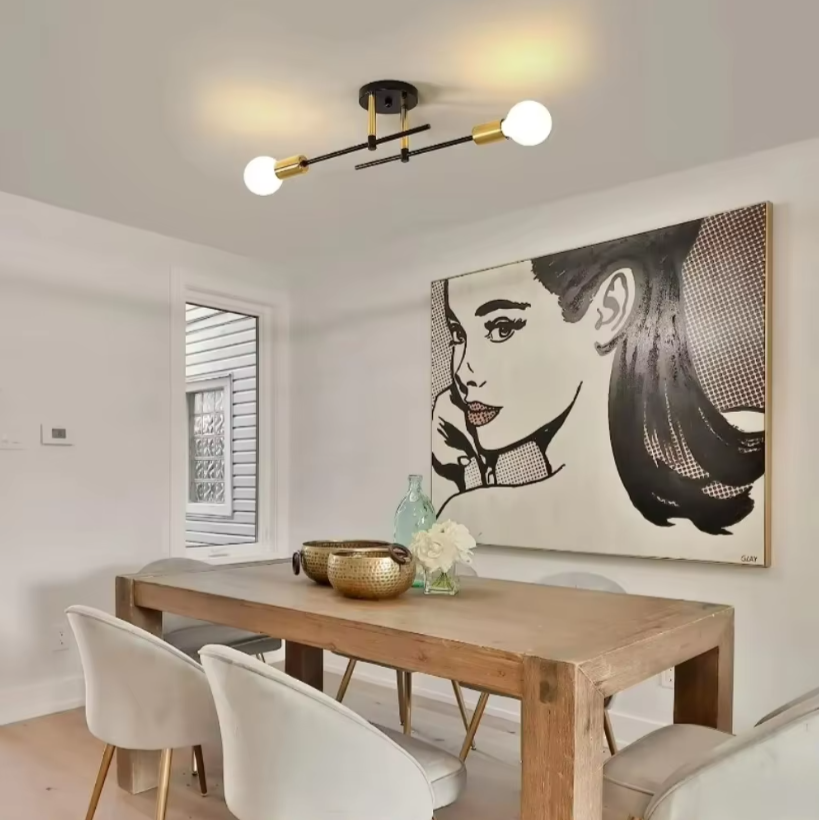 Timeless Ceiling Light fixtures