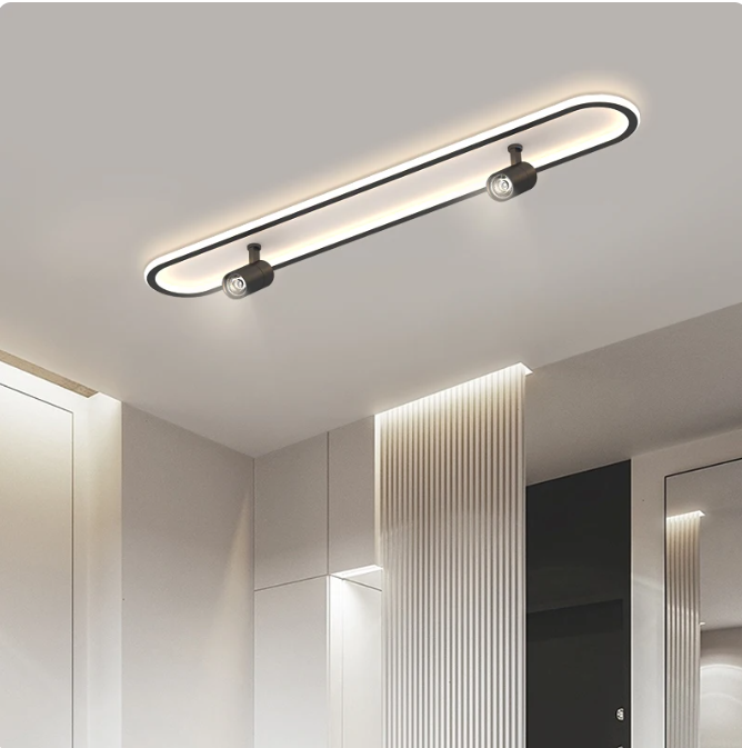 ceiling light with spotlight in one