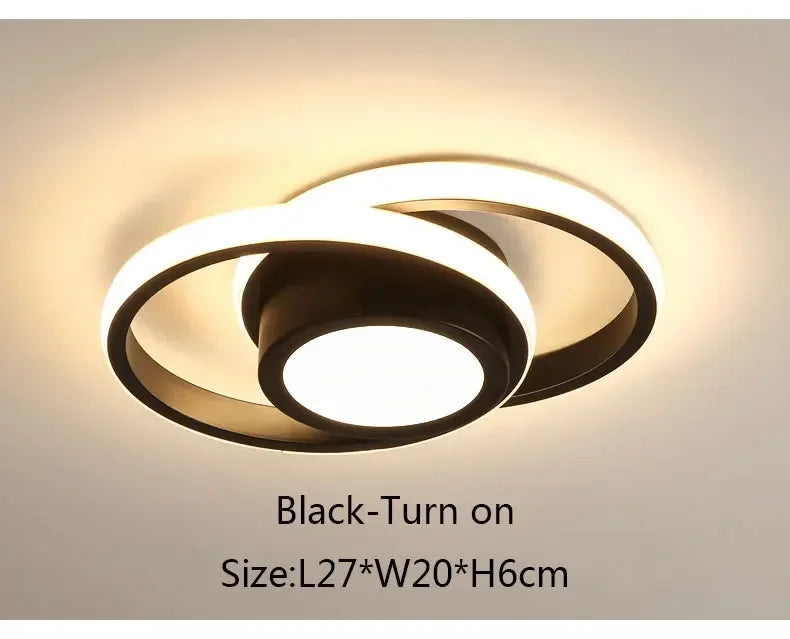 round black Simple Ceiling Light