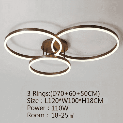Circles Modern Ceiling Light