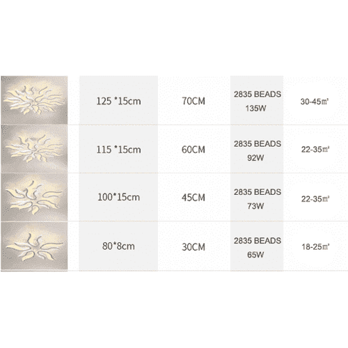 Modern Decorative Ceiling Lights