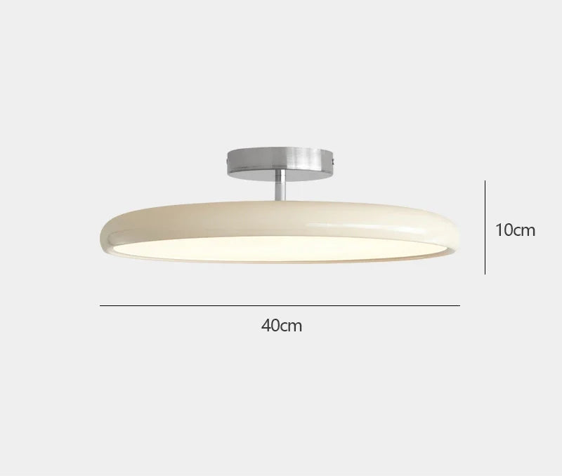 40 cm Round Ceiling Light With Adjustable Angle