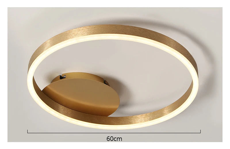 Ceiling Light Modern Style 60 cm