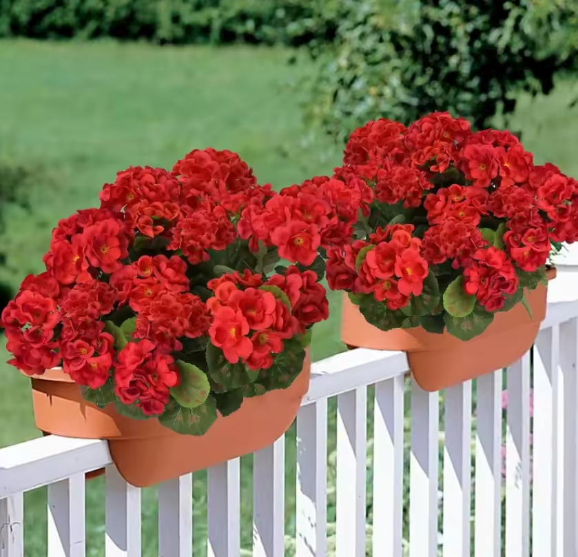 Artificial Geraniums Flowers