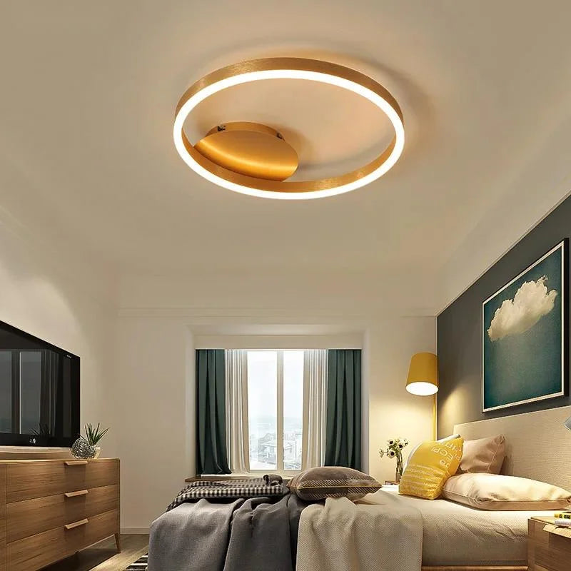 Ceiling Light Modern Style