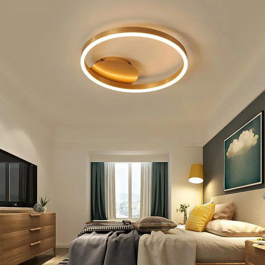 Ceiling Light Modern Style