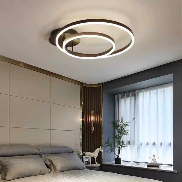Ceiling Light Modern