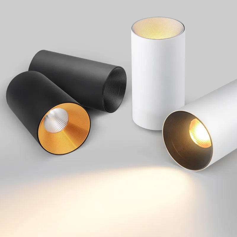 Cylindrical Ceiling Light