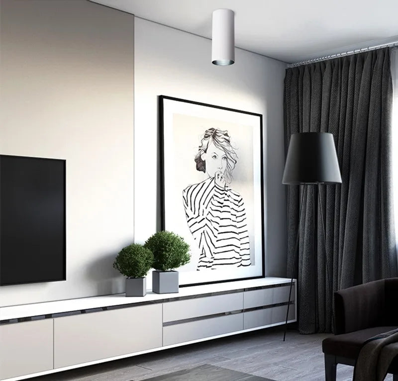 Cylindrical Ceiling Light Fixtures