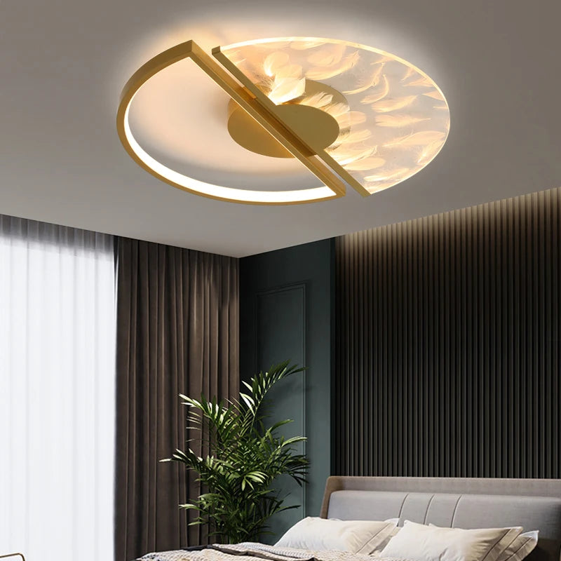 Indoor Ceiling Light
