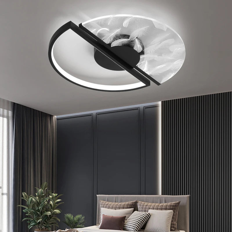 Indoor Ceiling Lights