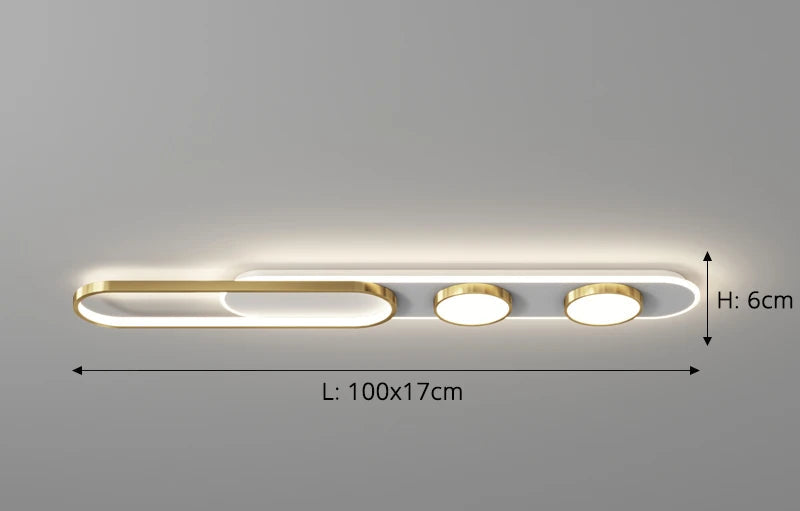 Medium Modern Ceiling Light For Kitchen Bedroom Or Hallway