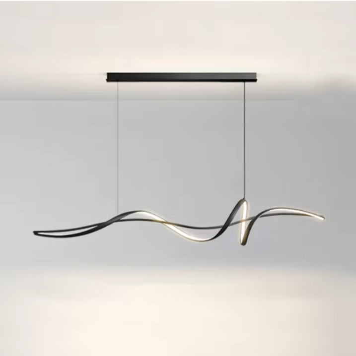 Modern Designer Ceiling Light