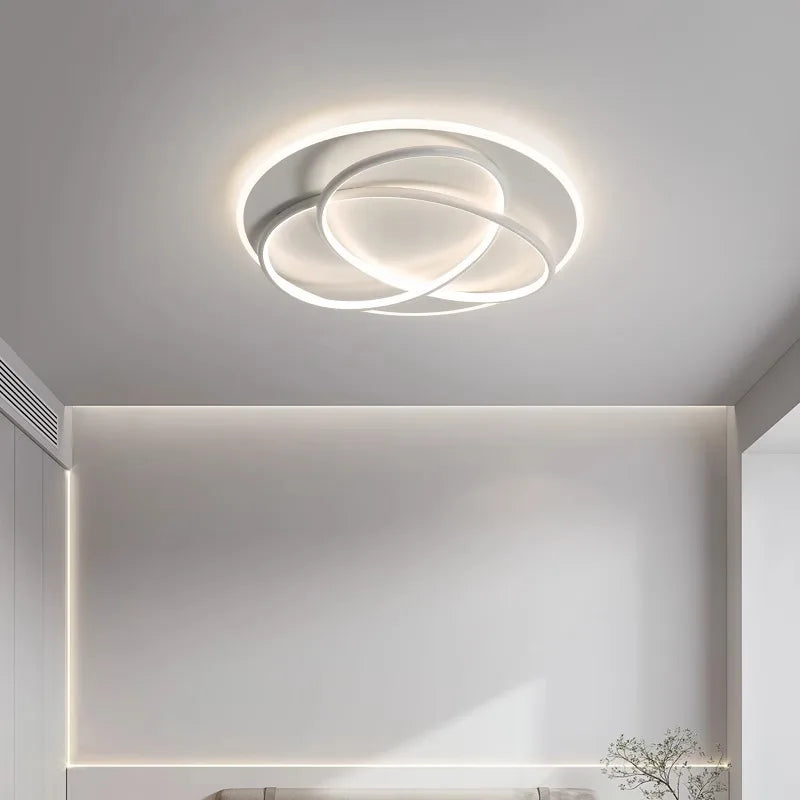 Modern Ceiling Lights For Kitchen Or Bedroom