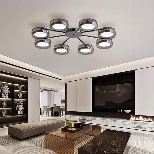 Modern Ceiling Light For Living Rooms