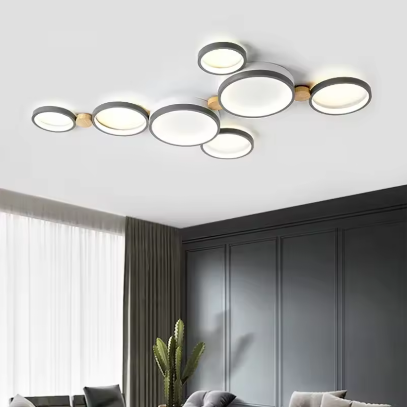 Modern Ceiling Lights For Living Room Dining Room Bedroom