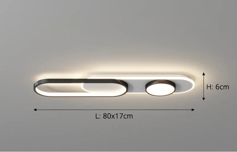 Small Modern Ceiling Light For Kitchen Bedroom Or Hallway