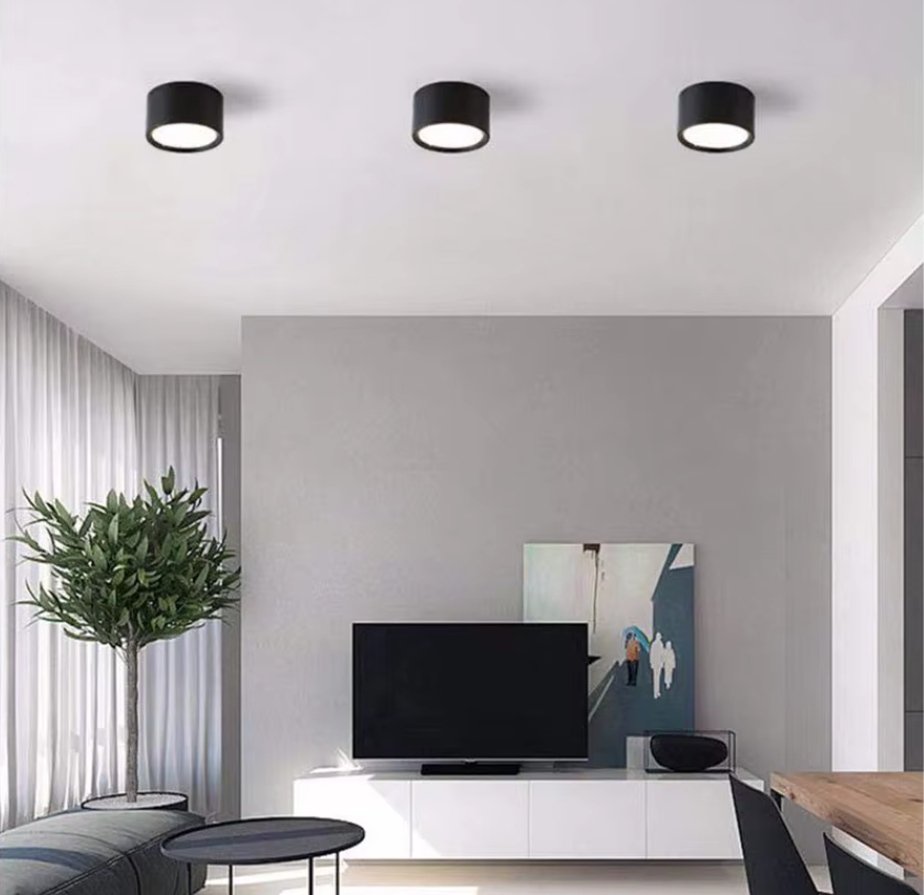Surface Mounted Down Lights