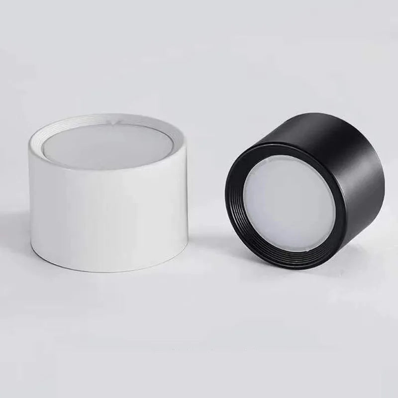 Surface Mounted Downlight