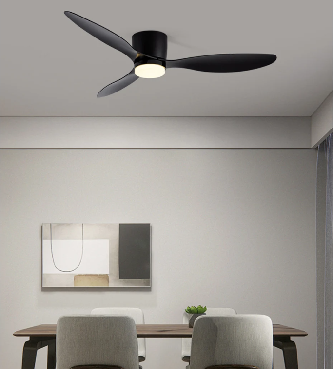 black ceiling fan