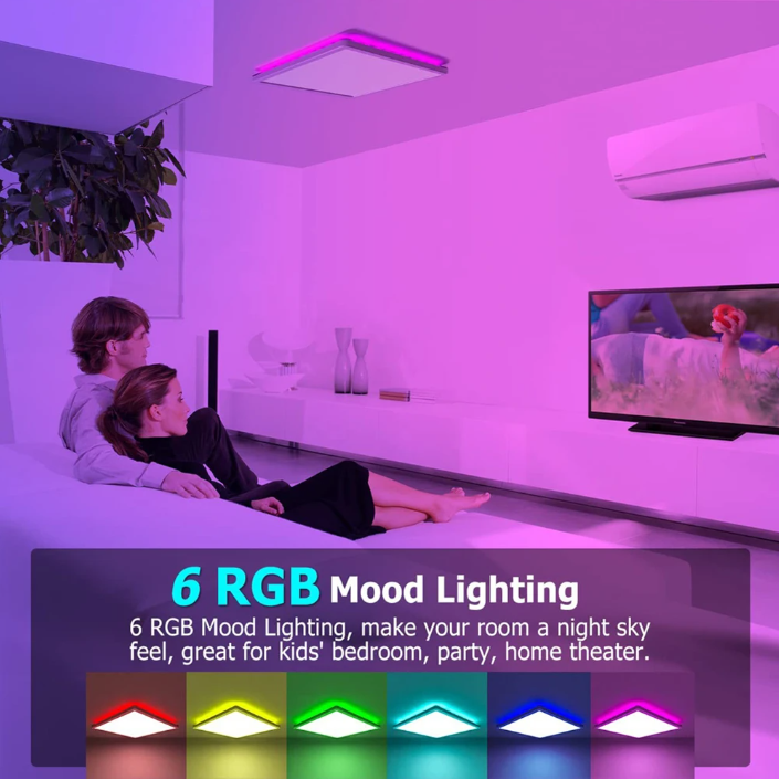 Flush Mount Ceiling Light With Remote Control