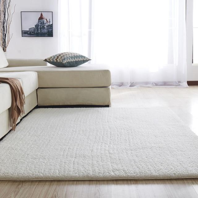 Extra Thick Plush Rug For Living Room Bedroom Bathrooms