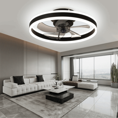 fan ceiling light