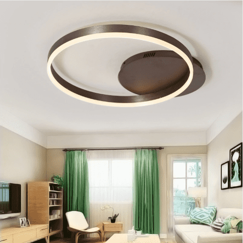 Circles Modern Ceiling Light