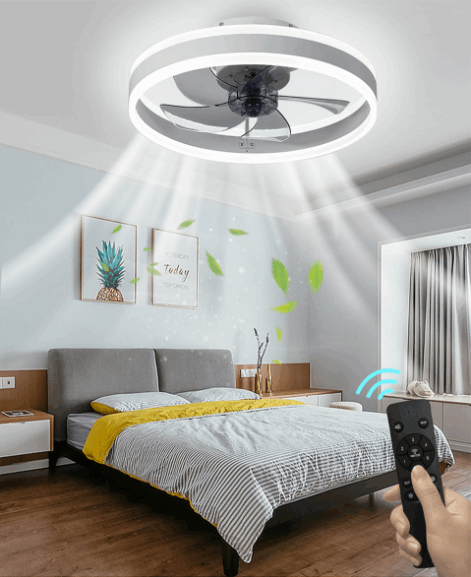 ceiling light fan