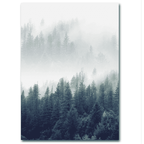 Paisaje de bosque nórdico HD Impresiones en lienzo