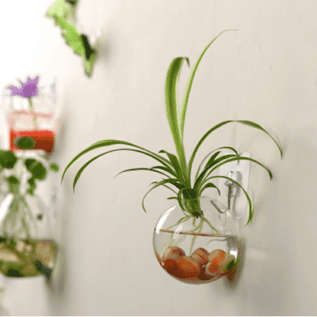 wall vase for plants flowers