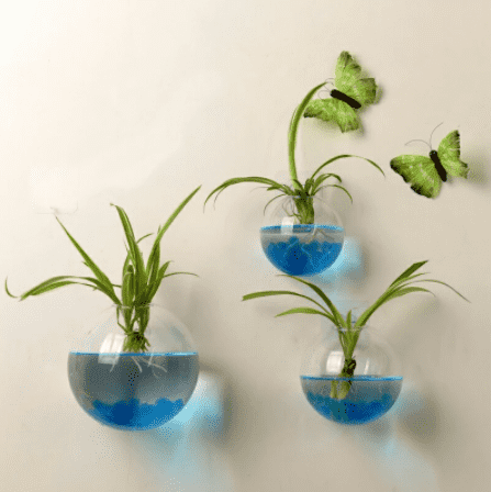wall vase plants